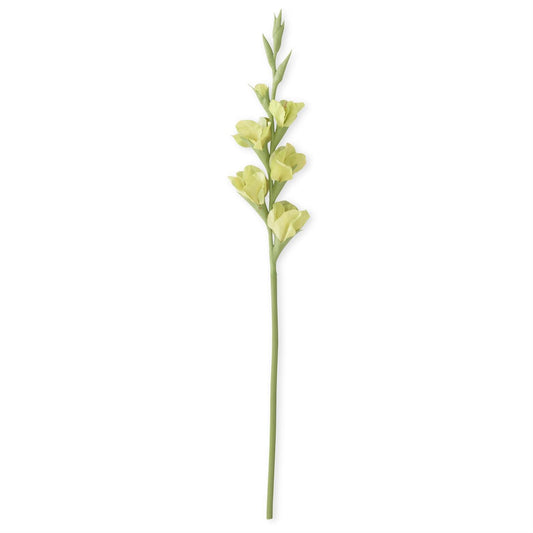 Green Real Touch Gladiolus - 34"