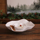 VIDA Nube Bowl with Dip (White)