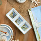 Coastal Birds Melm 3-Section Relish Tray 14.5" x 5.75"