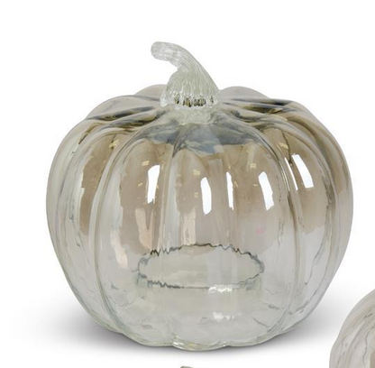 Transparent Glass Pumpkin Cloches (3 Sizes)