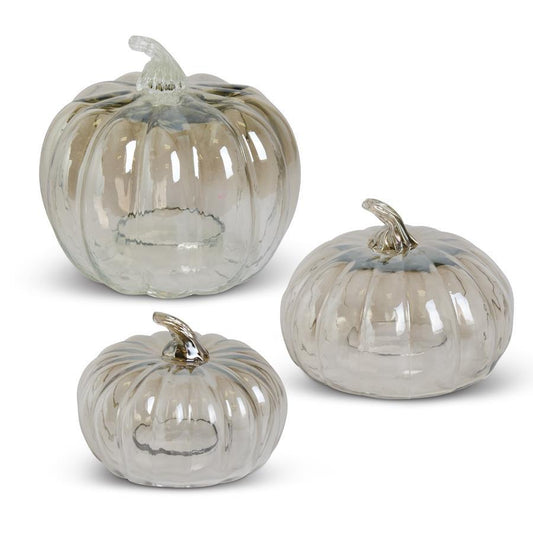 Transparent Glass Pumpkin Cloches (3 Sizes)