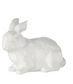 White Rabbit (2 Styles)