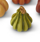 Fall Colored Mini Pumpkins (6 Styles )