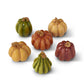 Fall Colored Mini Pumpkins (6 Styles )