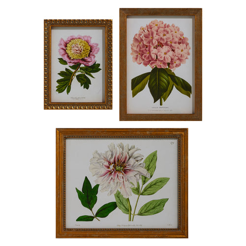 Floral Framed Wall Art