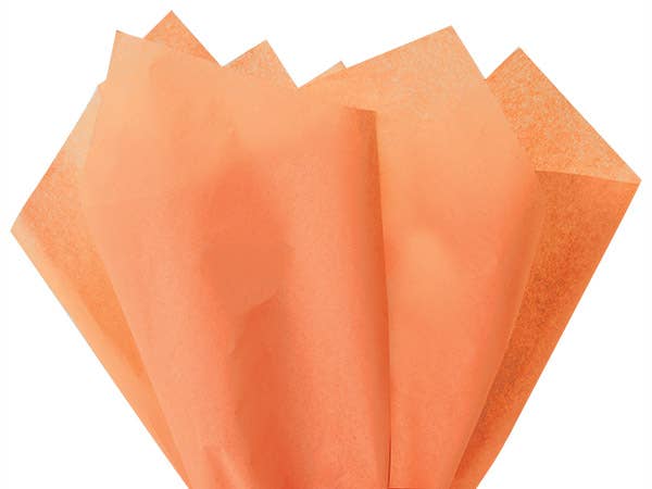 Bulk Color Tissue Paper 20X30" Sheets: Blush Pink / 480 Pack / 20x30"