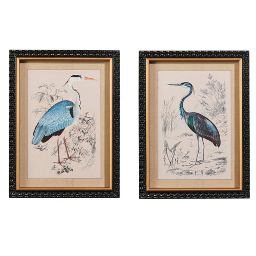 Wading Bird Framed Art (2 Styles)