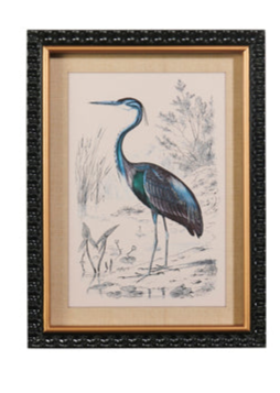 Wading Bird Framed Art (2 Styles)