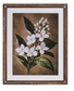Pearl Petal Framed Wall Art (4 Styles) - 19.75"