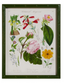 Floral Framed Wall Art -16" (4 Styles)