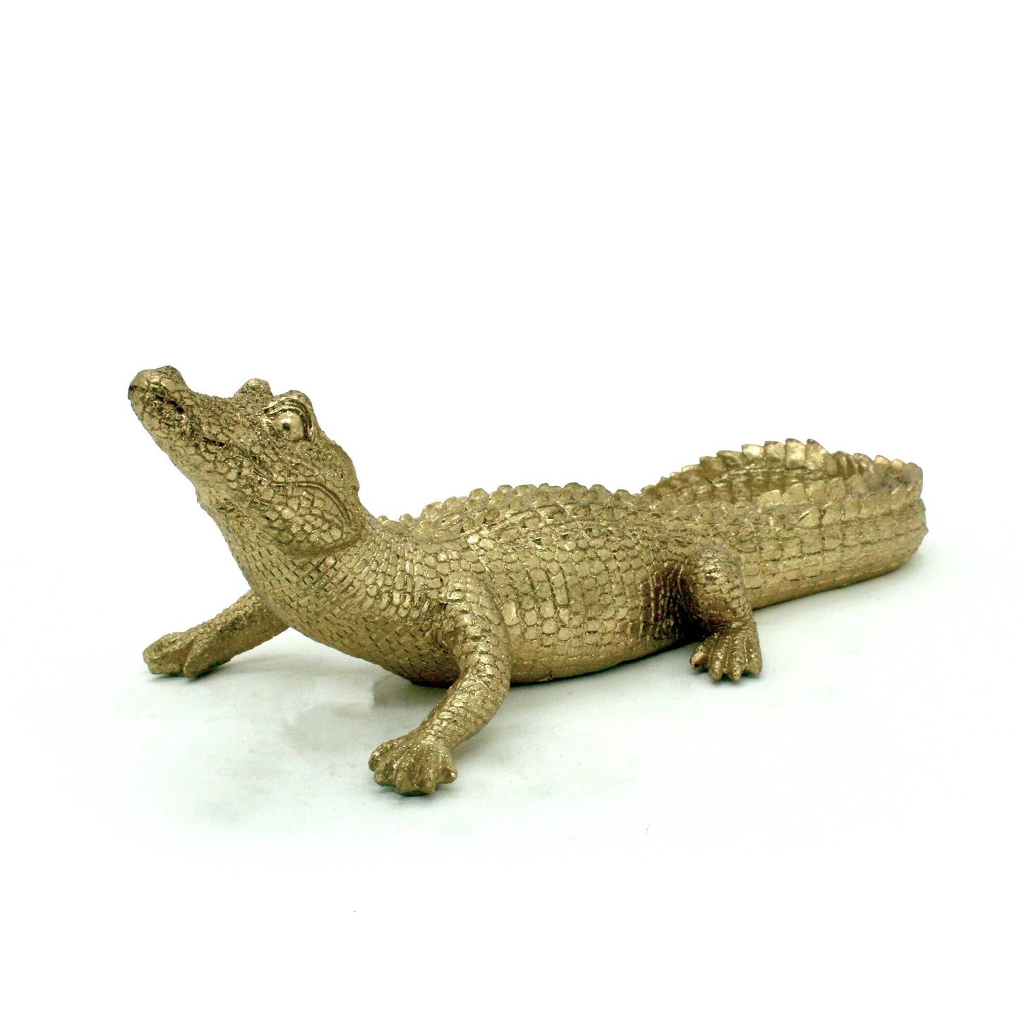 Gold Gator 14"