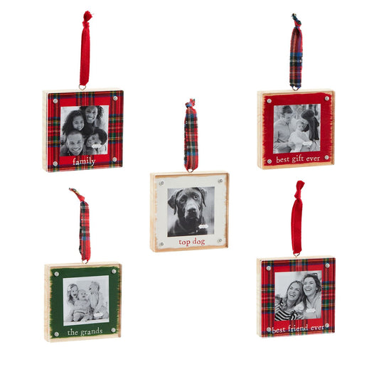 Acrylic Frame Ornament (5 Styles)