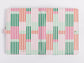 Folio - Line It Up Pink & Green
