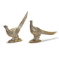 Golden Pheasants (2 Styles )