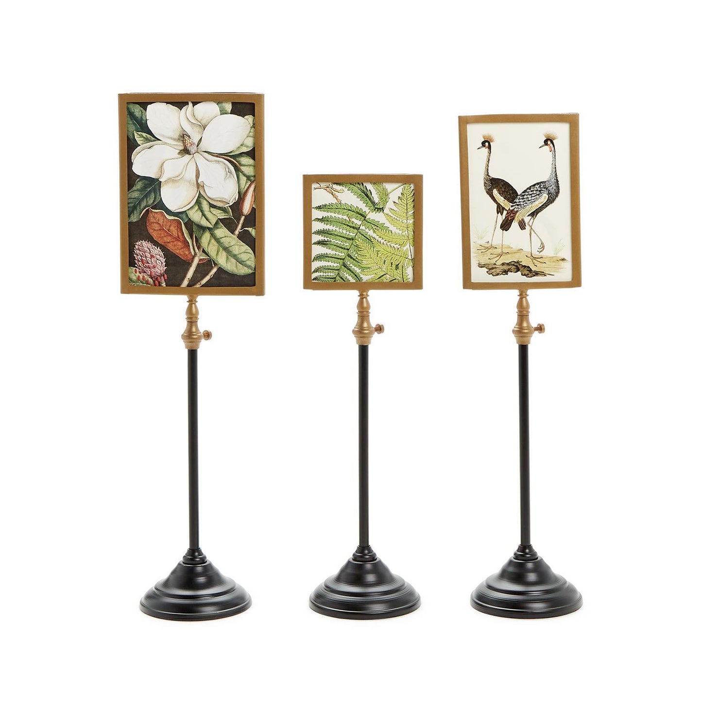Telescopic Vision Double Sided Photo Frames on Telescoping Pole