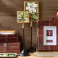 Telescopic Vision Double Sided Photo Frames on Telescoping Pole
