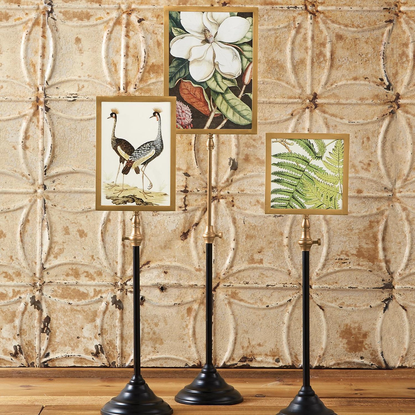 Telescopic Vision Double Sided Photo Frames on Telescoping Pole