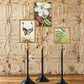 Telescopic Vision Double Sided Photo Frames on Telescoping Pole