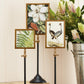 Telescopic Vision Double Sided Photo Frames on Telescoping Pole