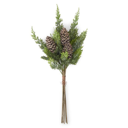 Cypress Pine Bundle W/Pinecones 24"