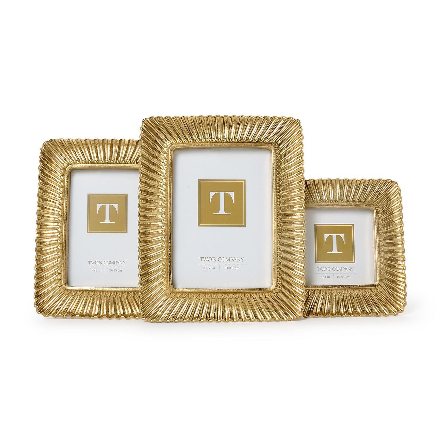 Sculpted Scalloped Plume Photo Frames (3 Sizes)