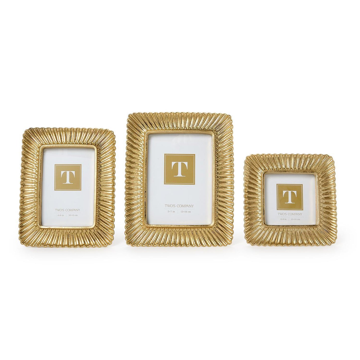 Sculpted Scalloped Plume Photo Frames (3 Sizes)