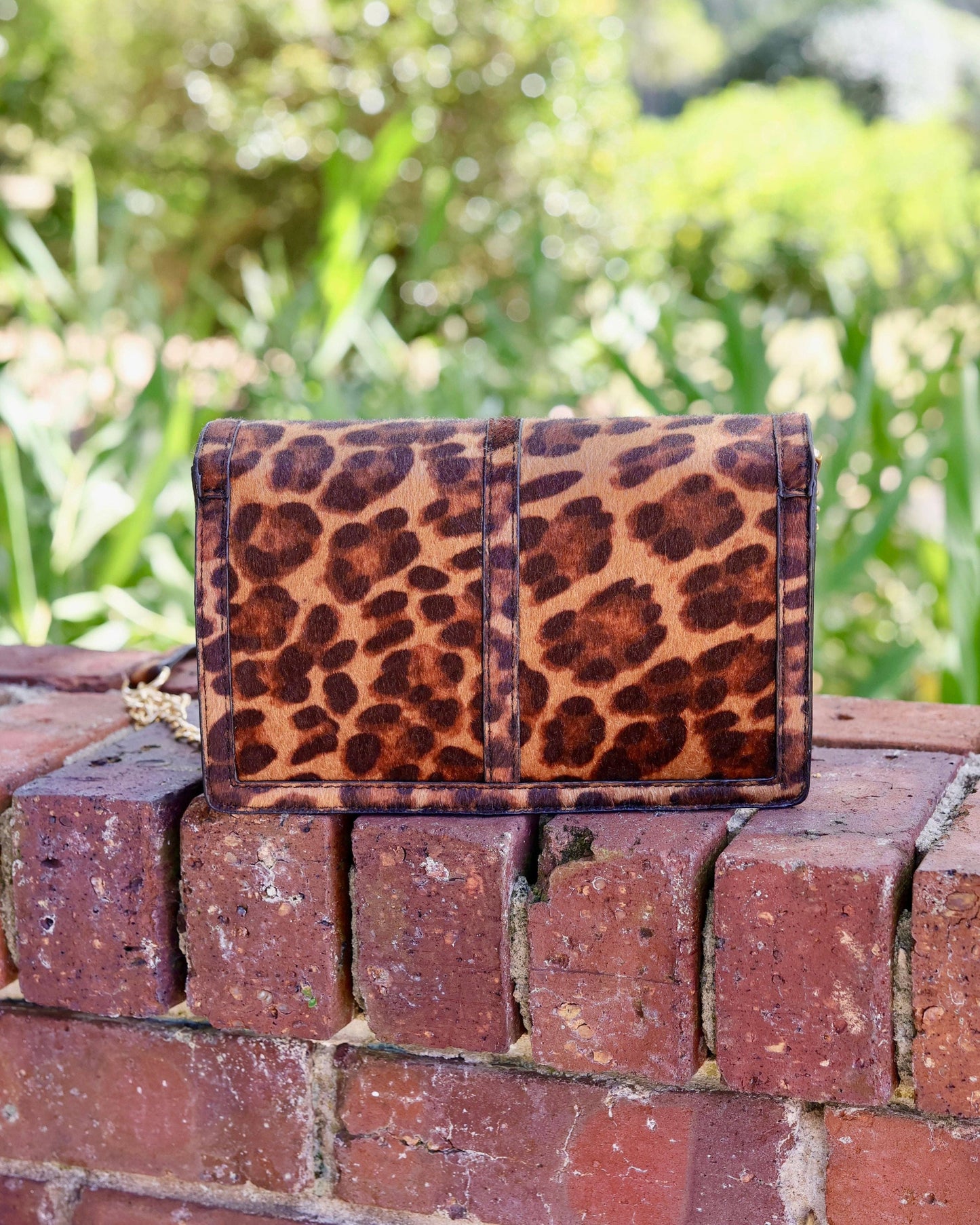 Cecilia Circle Logo Handbag Spotted Saddle: