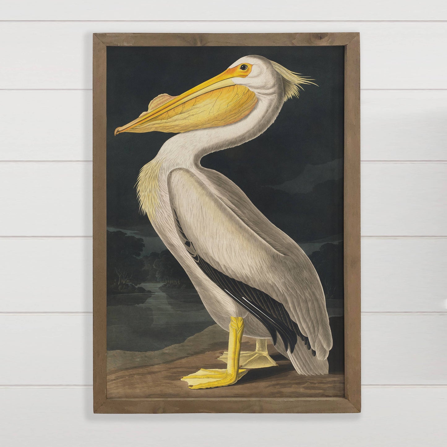 Audubon Pelican - Lake House Wall Art - Framed Art Print: 24x36" Extra Large Canvas Art with Thick Wood Frame