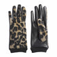 Leopard Ribbed Gloves (2 Styles)