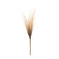 Plume Bundle