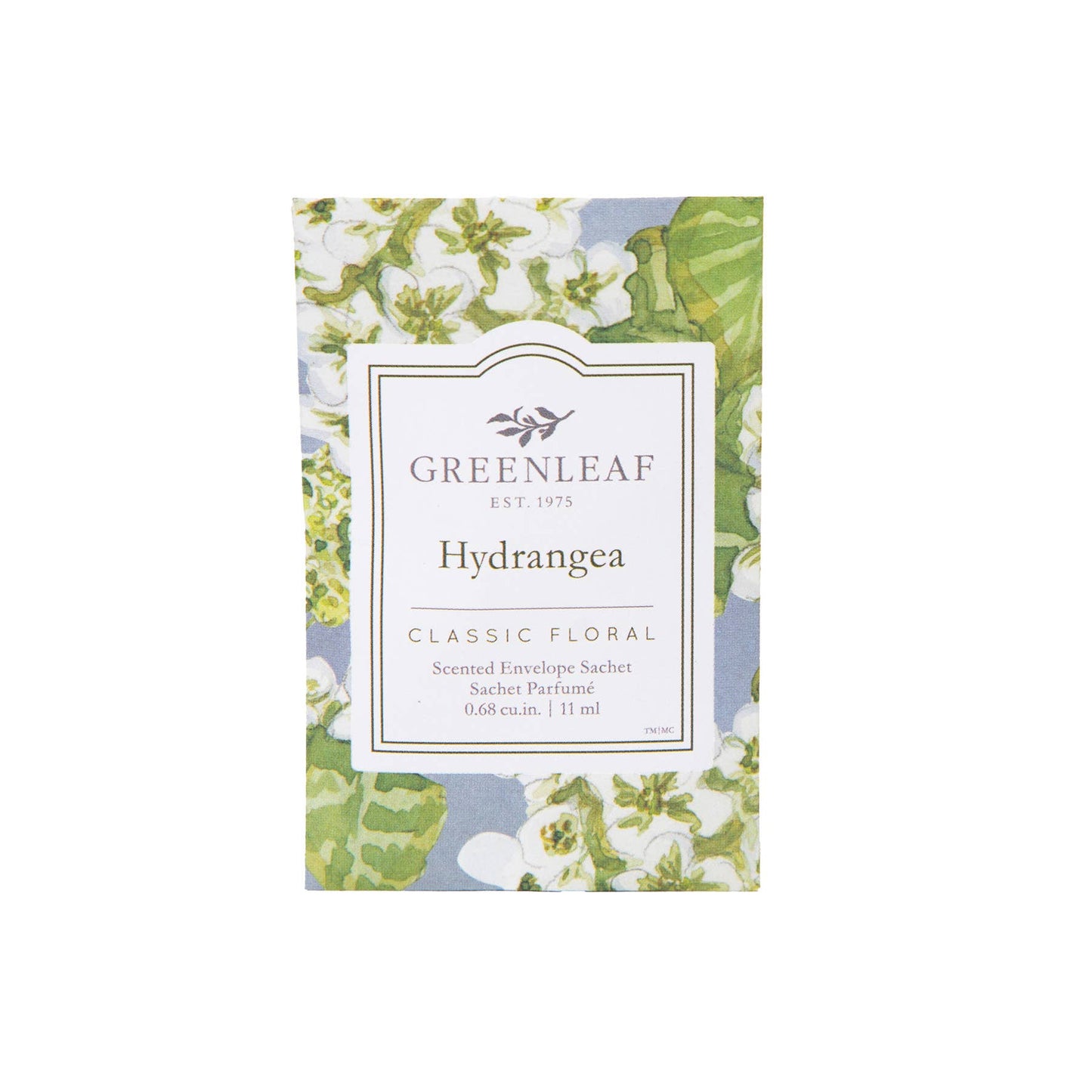Hydrangea