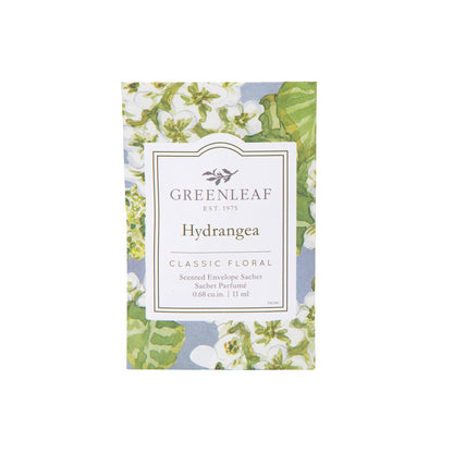 Hydrangea