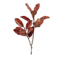 Magnolia Leaf Spray (3 Styles)