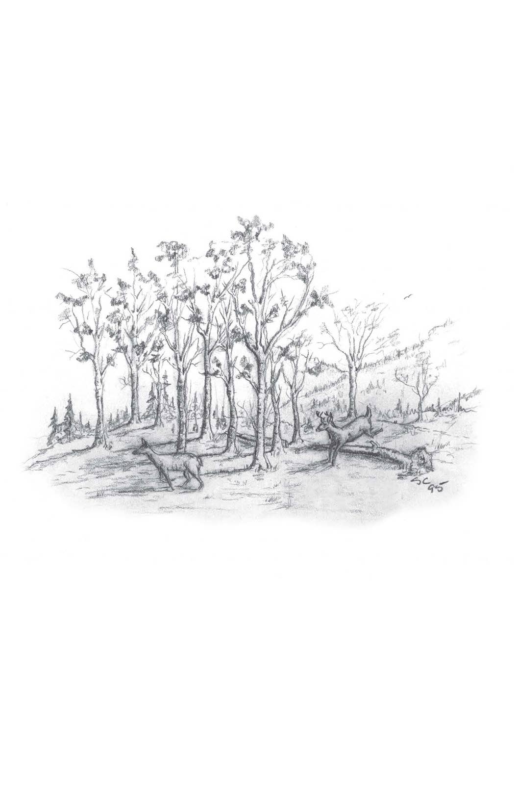 A Look at Life from a Deer Stand (Milano Softone): English