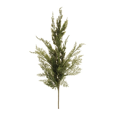 Pine Spray