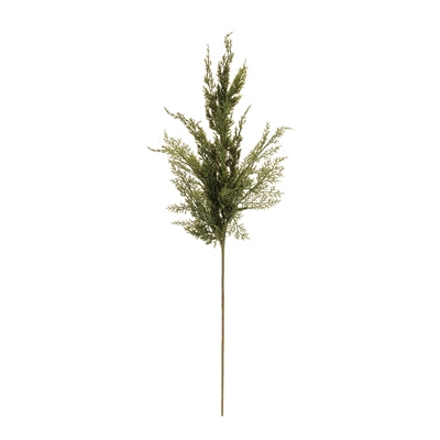 Pine Spray