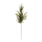 Pine Spray