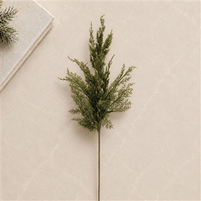 Pine Spray