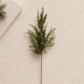 Pine Spray