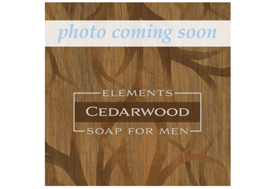 Elements Soap For Men - 8oz