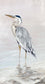 Heron Beauty I ( 2 Sizes)