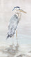 Heron Beauty II (2 Sizes)