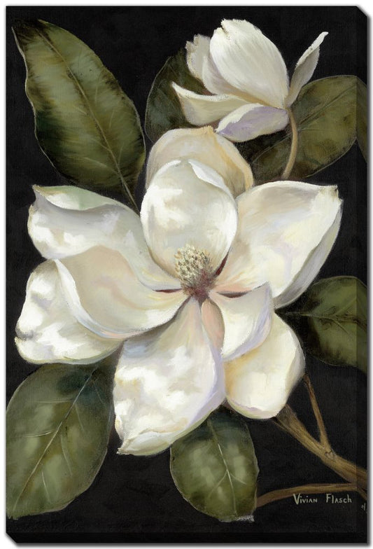 Elegant Magnolia II