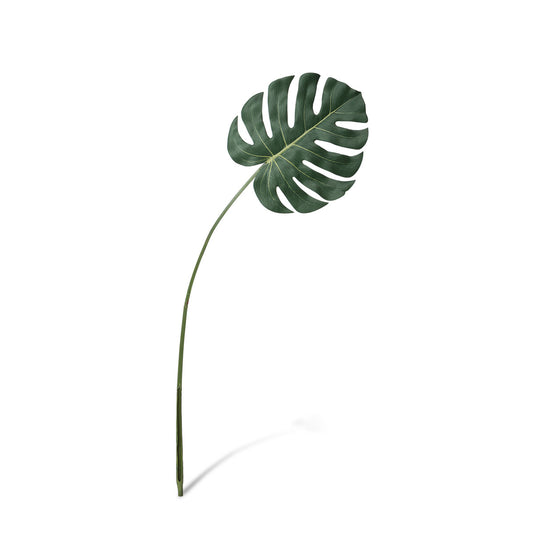 Monstera Leaf - Medium