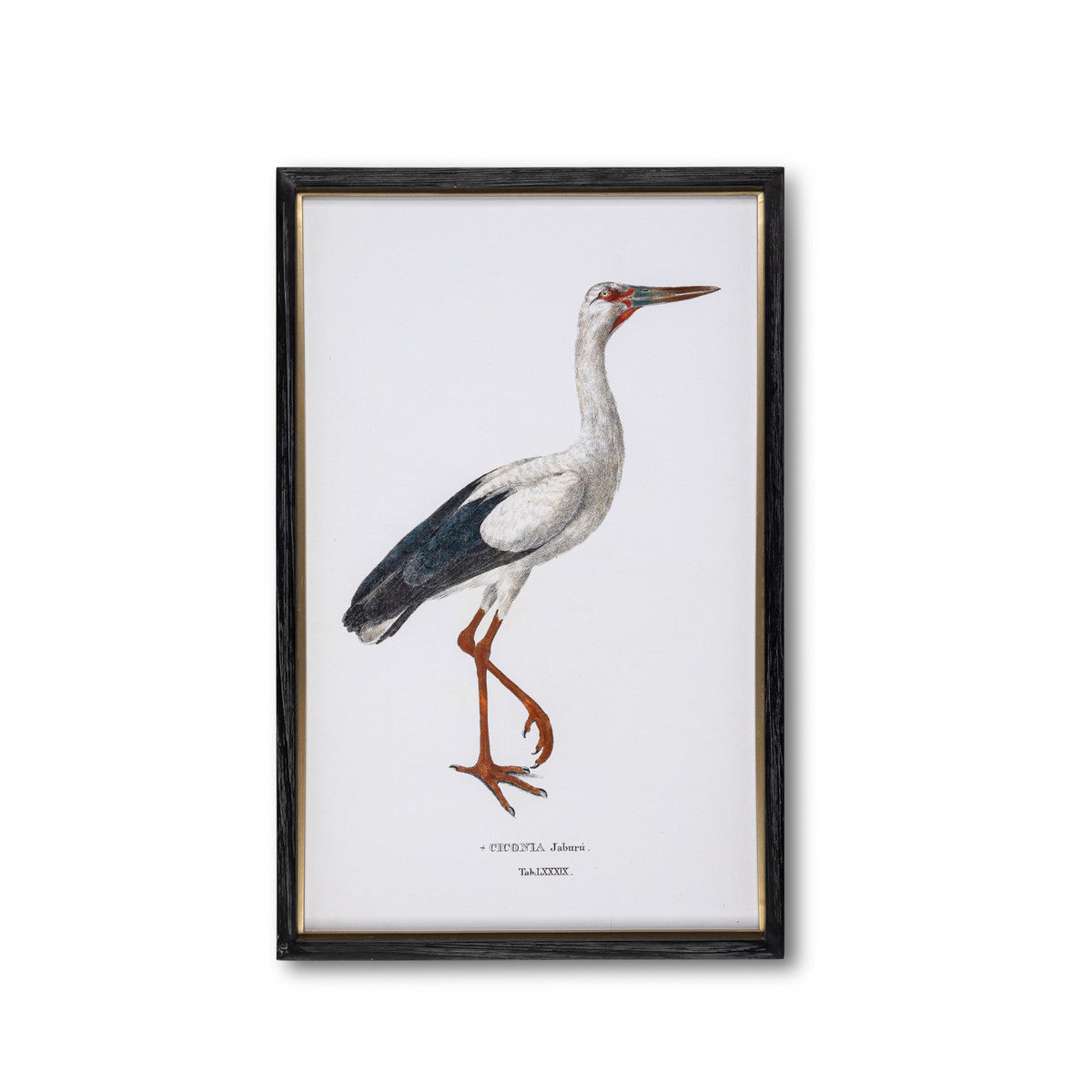 Coastal Heron Framed Print - 2 Styles