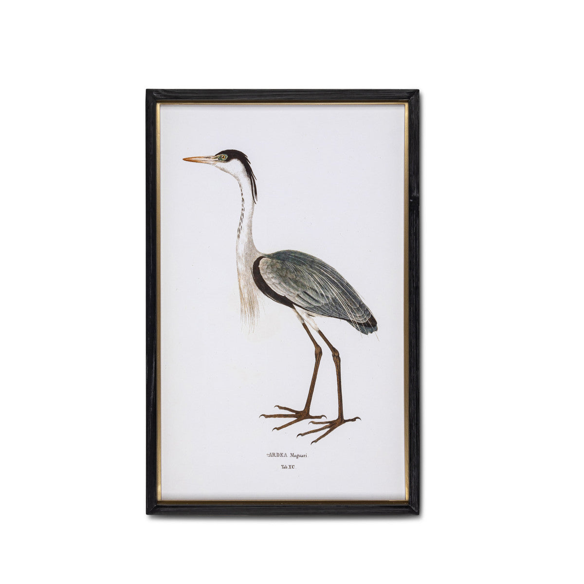 Coastal Heron Framed Print - 2 Styles