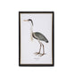 Coastal Heron Framed Print - 2 Styles