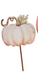 Water Color  Pumpkins