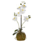Real Touch White Orchid w/Moss Ball - 23.75"