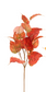 Fall Leaf Spray (2 Colors)